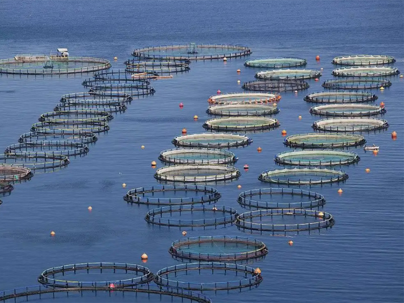 k1体育(中国游)官方网站